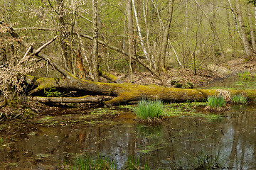 Image showing small lake