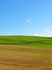 Image showing Cardross hill panorama