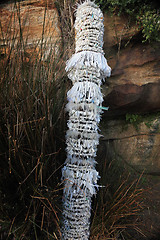 Image showing Sculpture by the Sea exhibit at Bondi