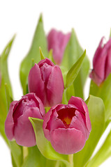 Image showing Bouquet of pink tulips