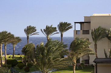 Image showing marsa alam in egypt