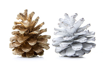 Image showing pine cones