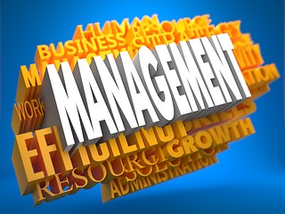 Image showing Management. Wordcloud Concept.