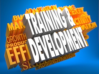 Image showing Training and Development. Wordcloud Concept.