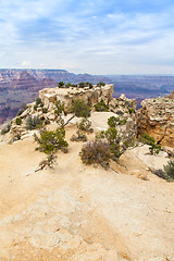 Image showing Grand Canyon