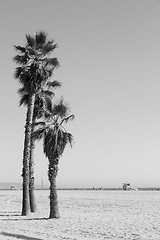 Image showing Santa Monica Beach