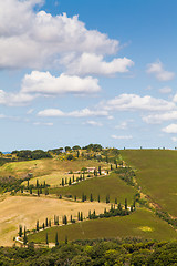 Image showing La Foce