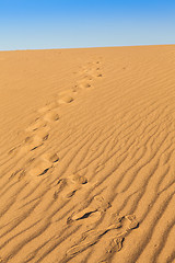 Image showing Death Valley Desert