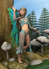 Image showing Fairy Butterfly