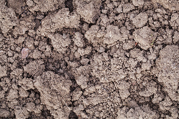 Image showing clay garden soil