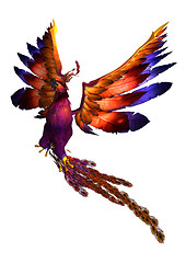Image showing Flying Phoenix