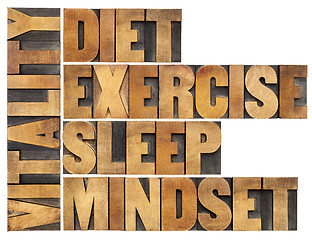 Image showing diet, sleep, exercise and mindset - vitality
