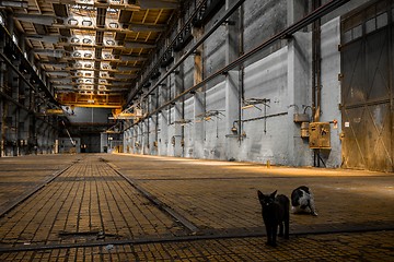 Image showing Large industrial hall of a repair station