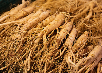 Image showing Ginseng in Korean market