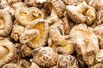 Image showing Dried mushroom shiitake
