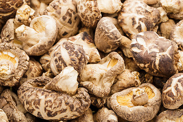 Image showing Dried mushrooms