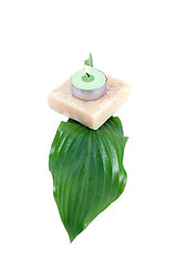 Image showing Green leaf, soap and candle