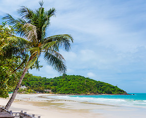 Image showing Tropical beach with palm trees