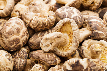 Image showing Dried shiitake 