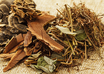 Image showing Dried chinese herb medicine