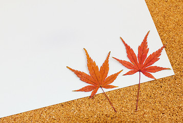 Image showing Greeting card with maple