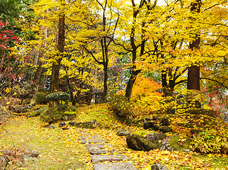 Image showing Autumn forest and walking path on mountain