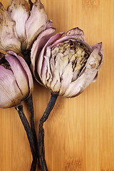 Image showing Bouquet of dried lotus