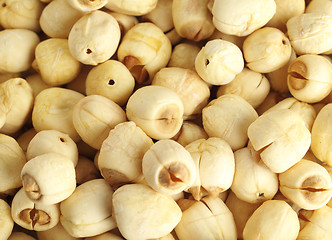 Image showing Group of lotus seed