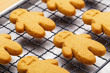 Image showing Homemade gingerbread cookies