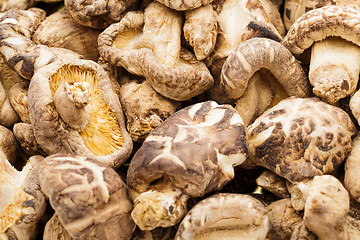Image showing Dried mushrooms close up