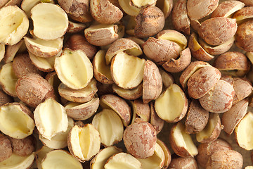 Image showing Fox nuts