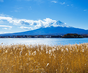 Image showing Mt. Fuji and lake