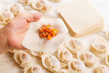 Image showing Making of Chinese dumpling