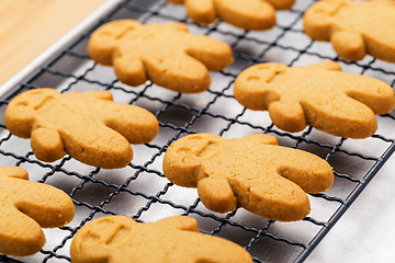 Image showing Homemade gingerbread cookies