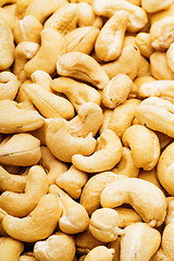 Image showing Cashew