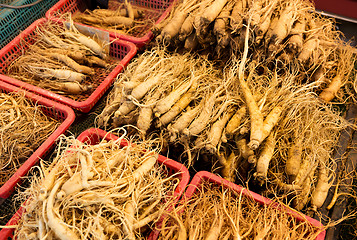 Image showing Ginseng in Korean market 