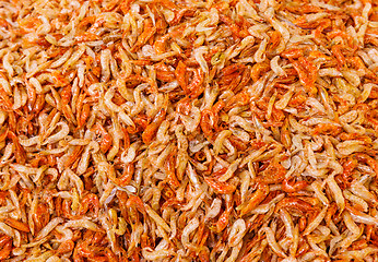 Image showing Dried small shrimp