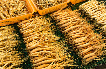 Image showing Ginseng for sell in food market