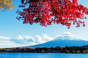 Image showing Mt. Fuji in autumn