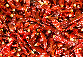 Image showing Red Chili peppers