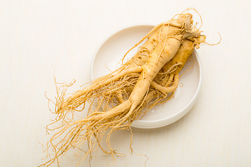 Image showing Fresh Ginseng