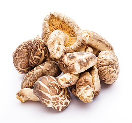 Image showing Dried mushroom isolated on white