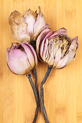 Image showing Bouquet of dried lotus