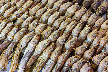 Image showing Dry salty fish