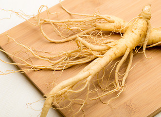 Image showing Ginseng