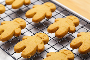 Image showing Baked gingerbread cookies