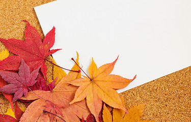 Image showing Greeting card with maple