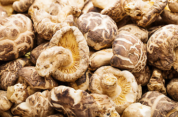 Image showing Dried shiitake