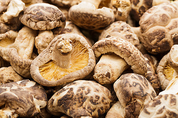 Image showing Heap of the dried mushrooms