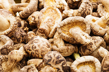 Image showing Dried mushroom